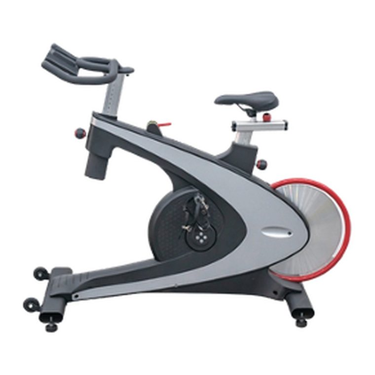 Magnetic Spinning Bike