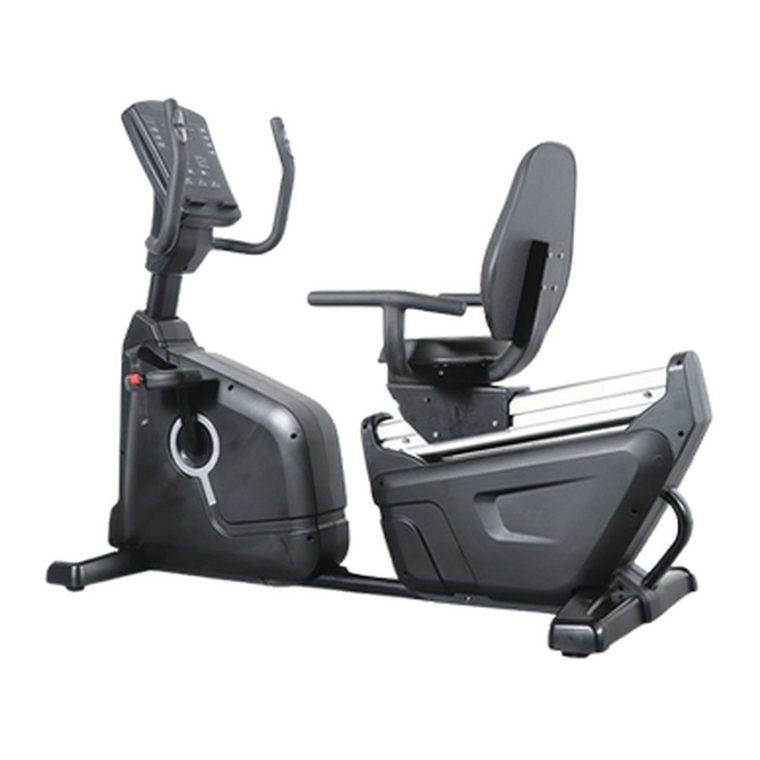 Recumbent Bike